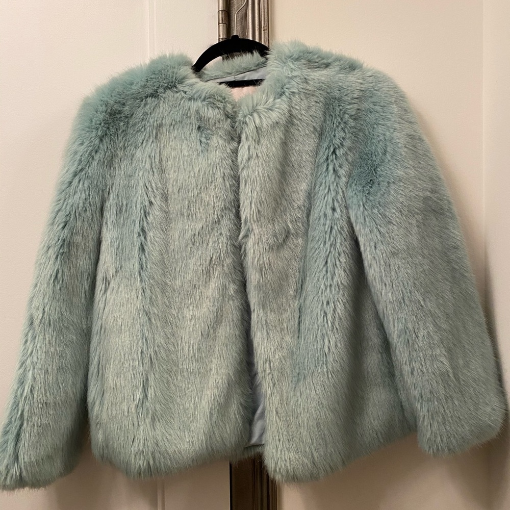Trafaluc / Zara Faux Fur Ice Blue Cropped Coat
